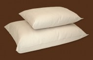 Organic_Cotton_o_4decea251b902.jpg